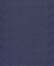 VS-10574-1-TANPP Camelot6